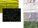SLIDE53t.JPG