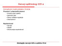 SLIDE58t.JPG