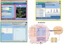 SLIDE71t.JPG